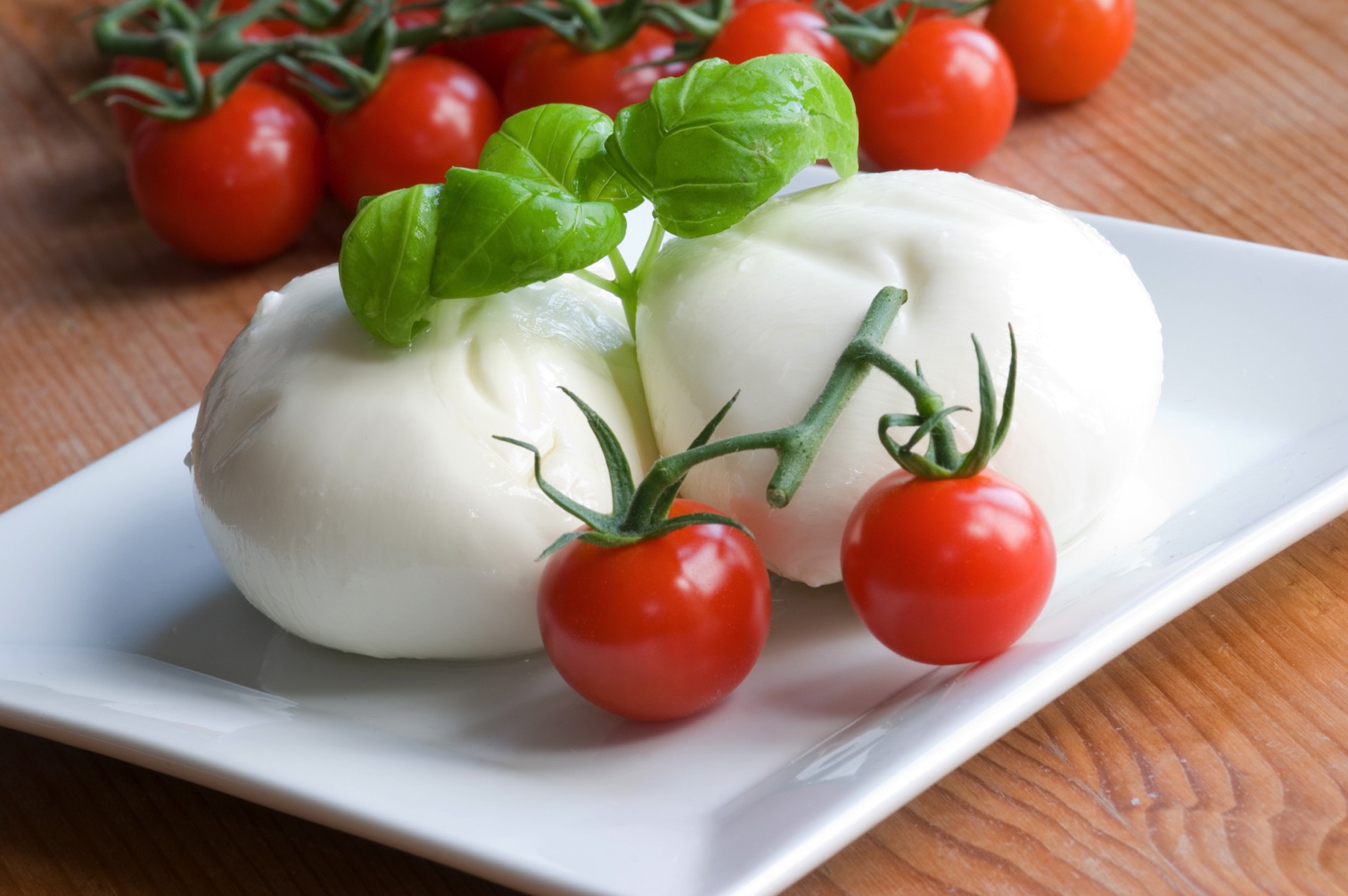 QualityFood | mozzarella